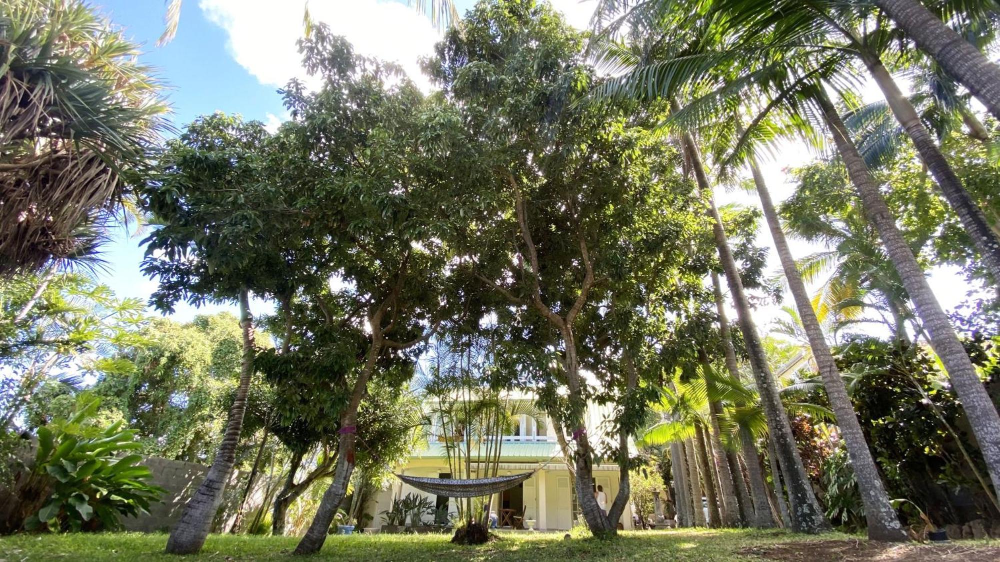 Coliver - Coliving A La Reunion Saint Pierre Luaran gambar