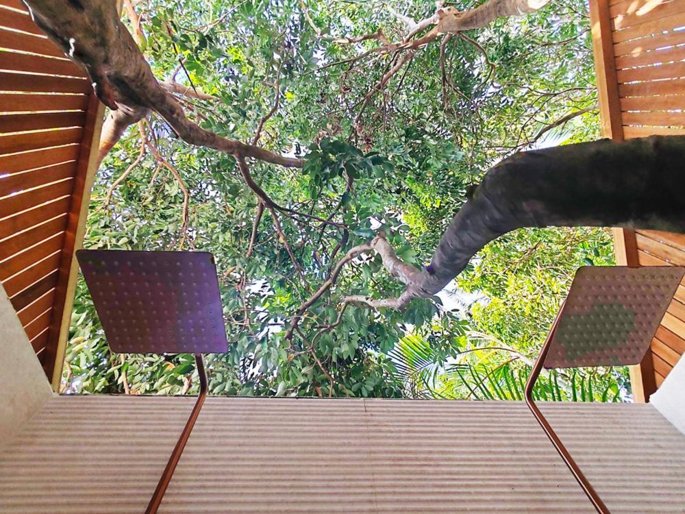 Coliver - Coliving A La Reunion Saint Pierre Luaran gambar