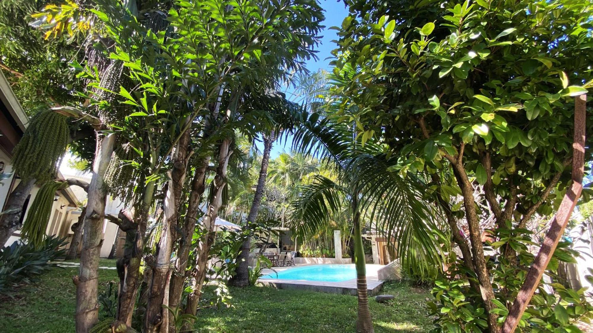 Coliver - Coliving A La Reunion Saint Pierre Luaran gambar