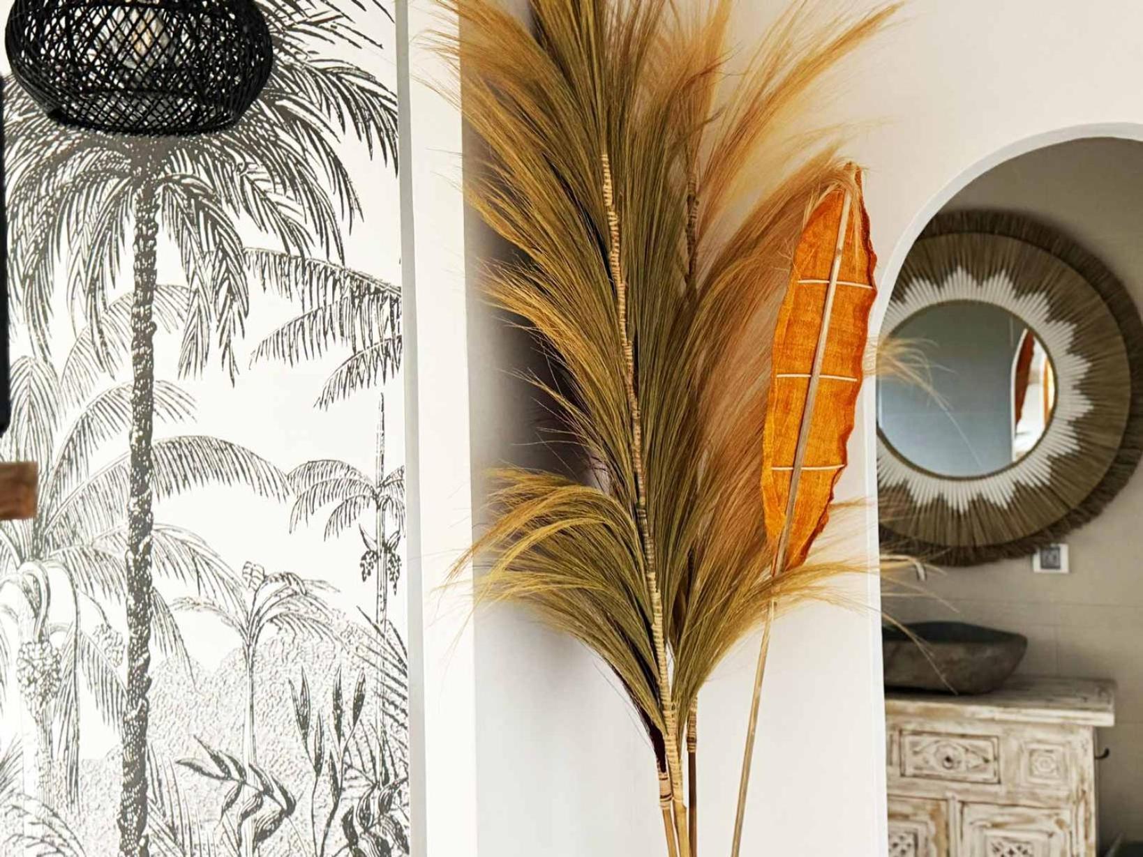 Coliver - Coliving A La Reunion Saint Pierre Luaran gambar