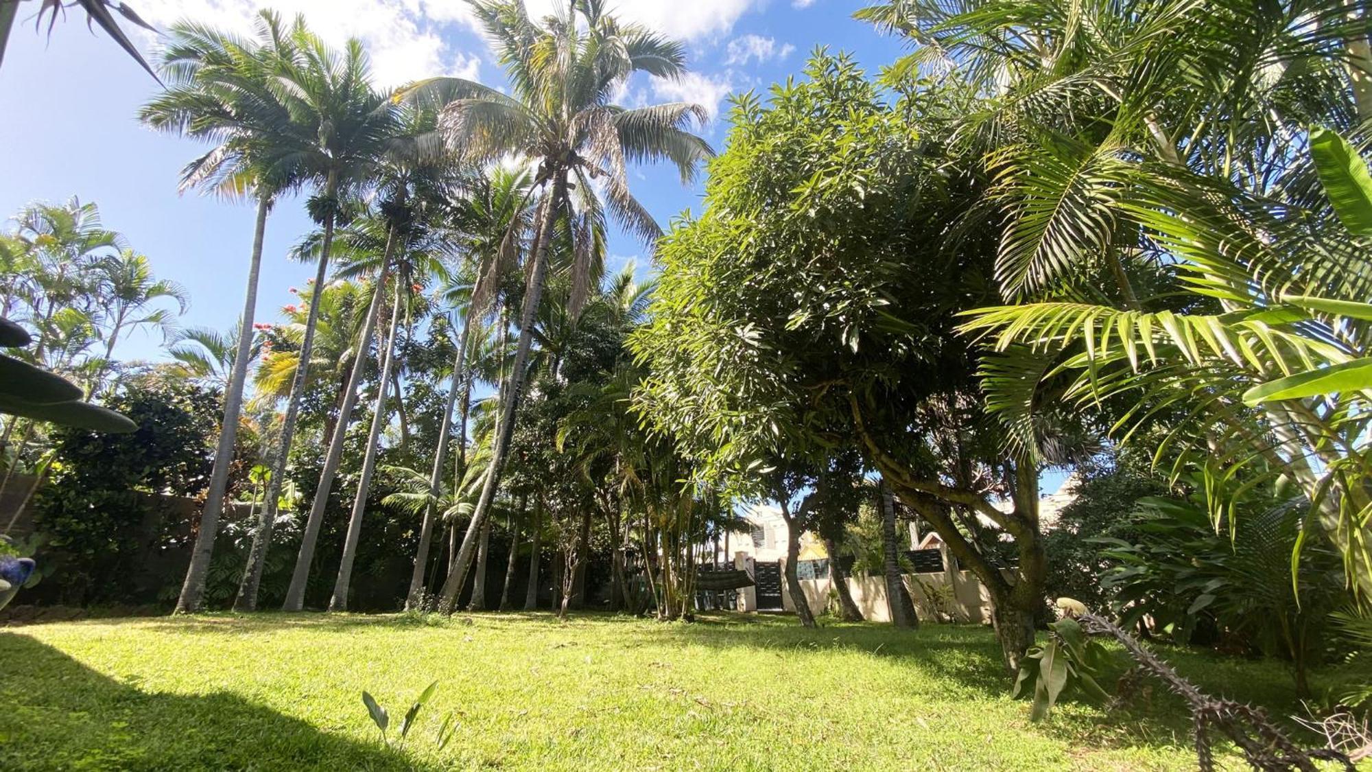 Coliver - Coliving A La Reunion Saint Pierre Luaran gambar