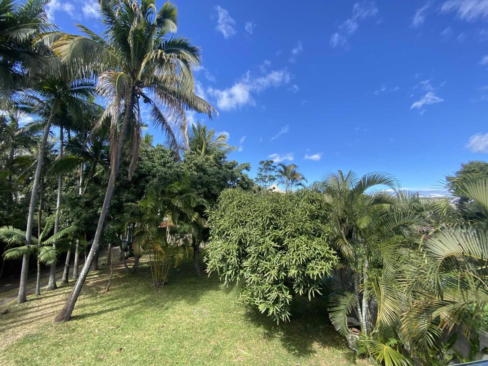 Coliver - Coliving A La Reunion Saint Pierre Luaran gambar