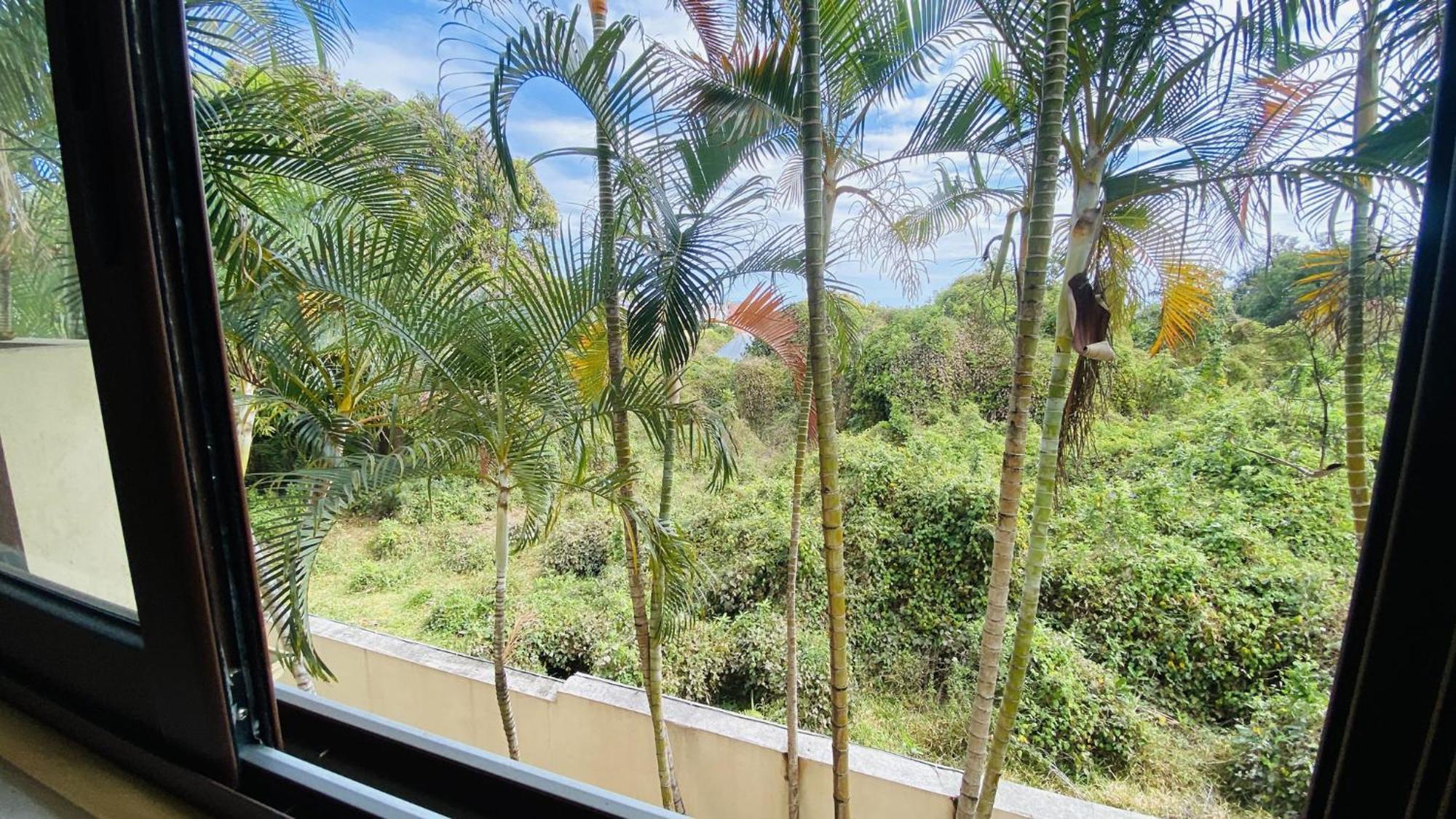 Coliver - Coliving A La Reunion Saint Pierre Luaran gambar