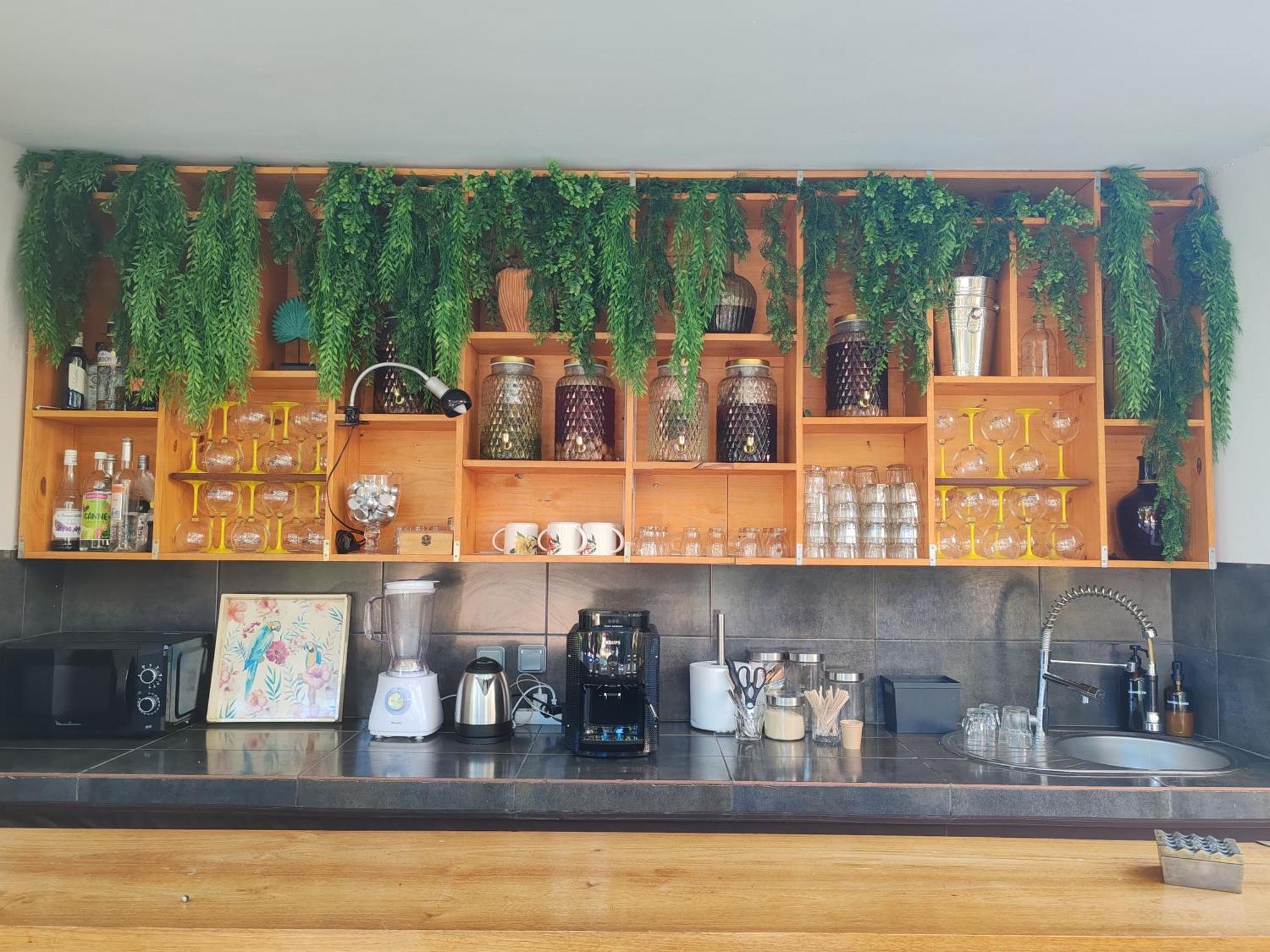 Coliver - Coliving A La Reunion Saint Pierre Luaran gambar